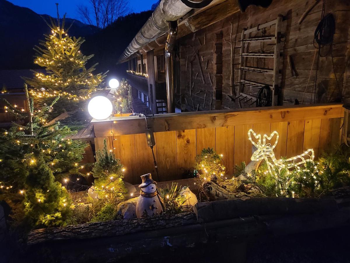 Nickis Bergcamp *