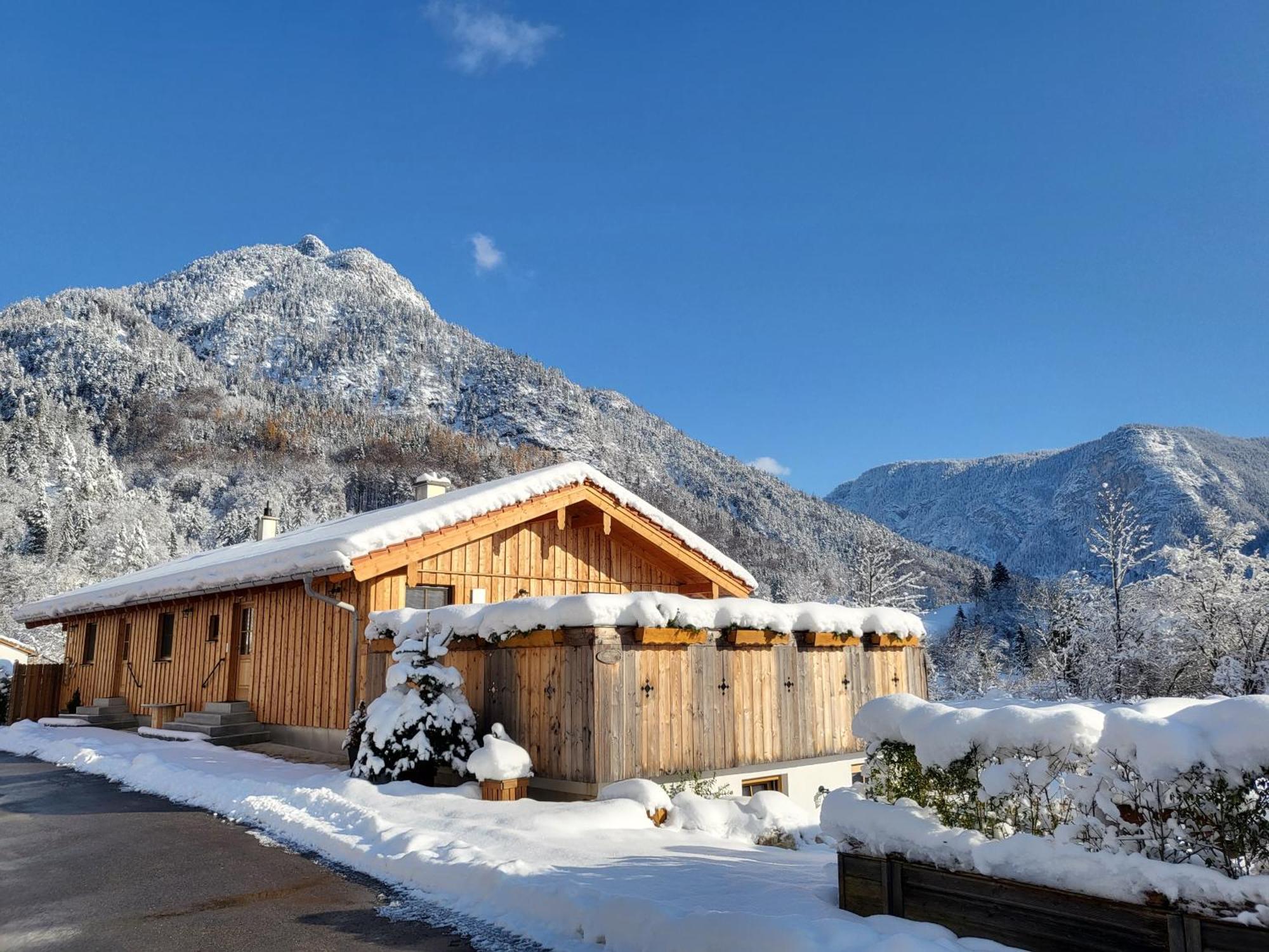 Nickis Bergcamp